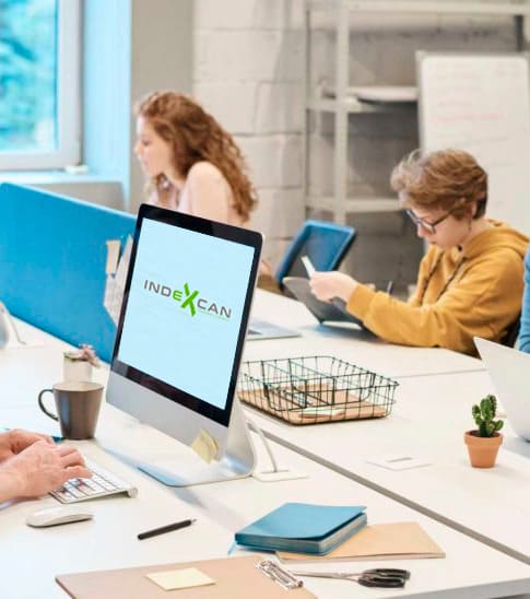 Oficina recortada Equipo Indexcan en oficina